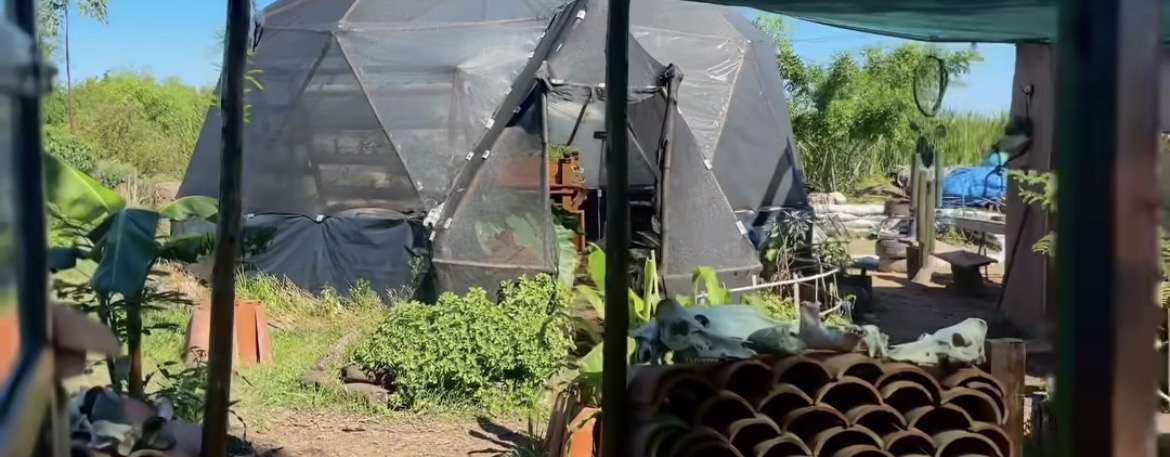 Syntrophic Agroforestry in the Chaco: Replicable Model for Peri-urban Poverty Reduction and Environmental Regeneration