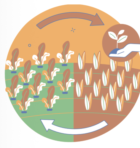 Ready to reshape the future of food waste management